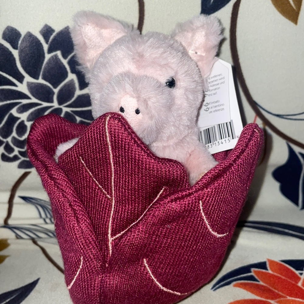 NWT Jelly cat pig